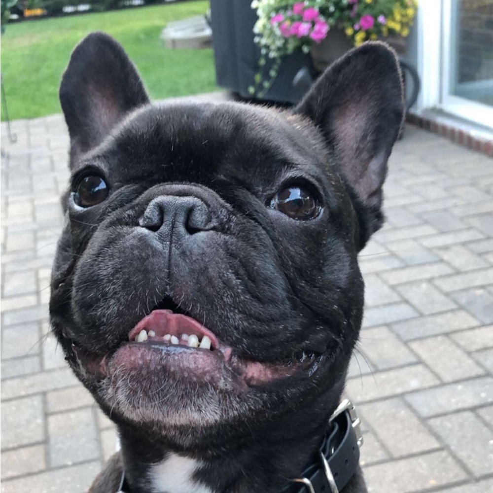 Meet your Posher, Payton